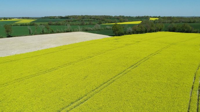 PHILIPPE MONTIGNY/FILIMAGES